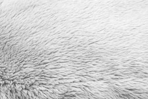 White fluffy fur fabric wool texture background photo