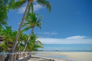 Summer background with coconut leaves and bright sky. photo