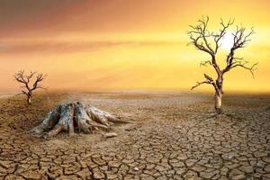 The concept of food shortages due to drought and global warming. Farmers who are desperate because they don't have water to cultivate. photo