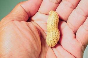 Food crisis concept. Starvation. 1 peanut in hand. photo