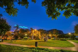 night clean sky trees in the park photo