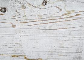 White texture of weathered wooden plank photo