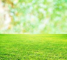 Summer grass nature background photo