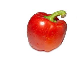 Red bell pepper on a white background. A healthy vegetable in droplets of water. photo