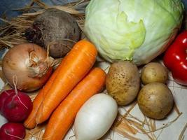 cosecha del jardín en la mesa. conjunto granjero.borsch. raíces. productos de la huerta. comida sana. foto