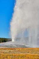 Old Faithful cone geyser in Yellowstone National Park photo