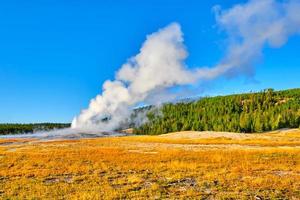 Old Faithful cone geyser in Yellowstone National Park photo