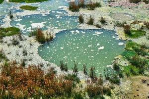 aguas termales en el volcán de lodo en el parque nacional de yellowstone foto