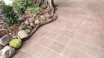 garden composition with stones beside the road pavement photo