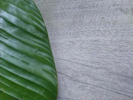 green leaf and a wooden surface on the garden photo