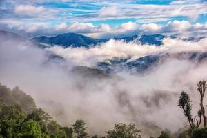 paisaje de niebla matutina. foto