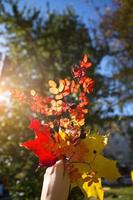 Autumn bouquet of yellow and red dried leaves in hand - autumn mood, bright colors photo