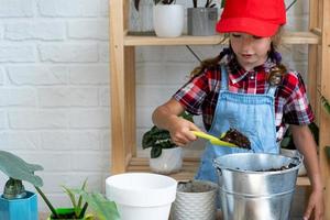 Girl transplants a potted houseplant philodendron into a new soil with drainage. Potted plant care, watering, fertilizing, hand sprinkle the mixture with a scoop and tamp it in a pot. Hobby photo