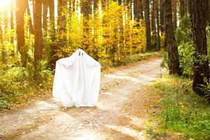 un niño con sábanas con aberturas como un disfraz de fantasma en un bosque de otoño asusta y aterroriza. un pequeño fantasma amable. fiesta de Halloween foto