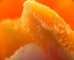 Frozen Vegetables Macro photo