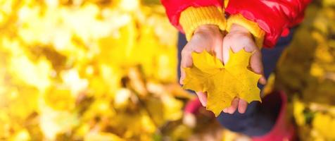 Dry yellow maple leaf in children's palms - autumn mood, change of season photo