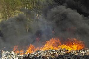 Black smoke and fire. Fire in forest. Burning of garbage. photo