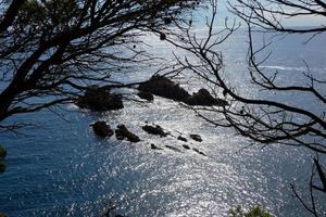 costa con rocas y mar azul lleno de árboles que llegan casi hasta el mar. foto