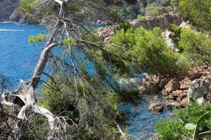 mediterranean coastline, sea and blue sky in summer photo