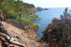 Pines, rocks and cliffs on the catalan costa brava in the mediterranean sea photo