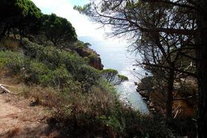 Coast with rocks and blue sea full of trees that reach almost to the sea. photo