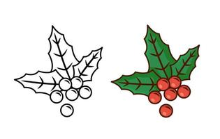 European christmas berry holly ilex aquifolium leaves and fruit. Floral branch red xmas winter decor christmas berry symbol. Vector decorative holly christmas leaf traditional ornament symbol