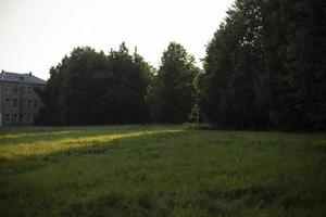 Park in city. Green clearing with trees. Park in summer. Landscape details. photo