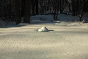 Flower bed in park is covered with snow. Park in winter. photo