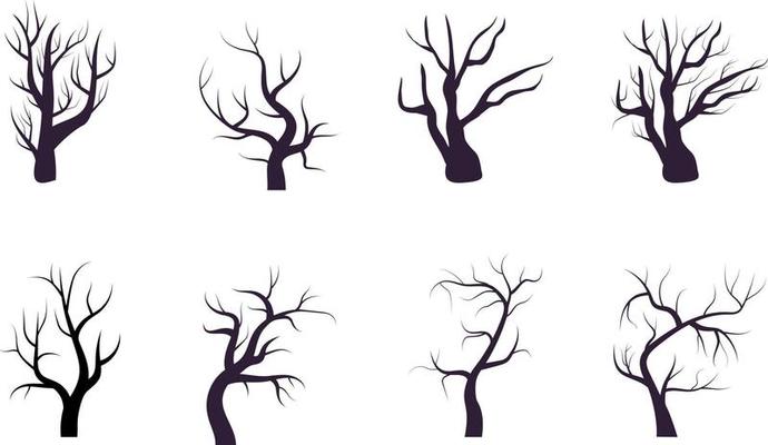 dry woods set