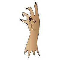 The stump of a dead man's hand. Side view. Curved fingers with sharp claws. Colored vector illustration. Isolated white background. Cartoon style. Halloween symbol. Decoration for All Saints Day.