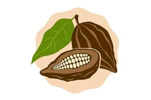 Vector emblem of cocoa beans in retro style. Vector illustration of cocoa bean for shop