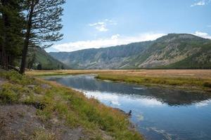 Scenic view of creek flowing by trees and mountain at Yellowstone national park photo