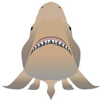Bull shark with opened mouth in attack position and sharp teeth vector