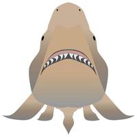 Bull shark with opened mouth in attack position and sharp teeth vector