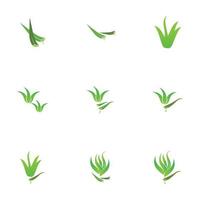 plantilla de diseño de ilustración de logotipo de aloe vera vector