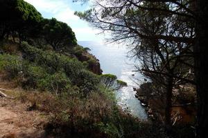 costa con rocas y mar azul lleno de árboles que llegan casi hasta el mar. foto