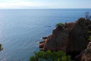 Coast with rocks and blue sea full of trees that reach almost to the sea. photo