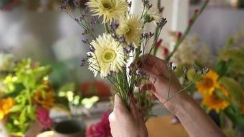 blomsterhandlare ordnar blommor för bukett video