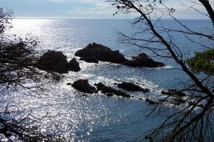 Pines, rocks and cliffs on the catalan costa brava in the mediterranean sea photo
