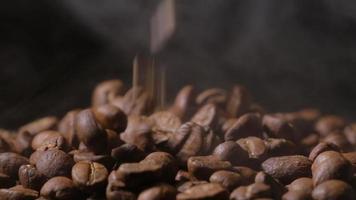 Slow motion of roasted coffee beans falling. Organic coffee seeds. video