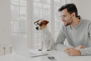 Businessman concentrated in display of laptop computer, writes down notes, works with favourite pet, pose in home office, wear spectacles, work freelance. People, work, technology, animals concept photo