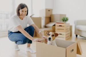 Happy young female house owner poses near cartboard box with favourite pet, have fun during day of relocation, poses in living room with stacks of carton containers with personal belongings. photo