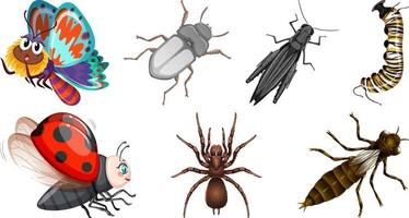 conjunto de diferentes tipos de insectos vector