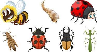 conjunto de diferentes tipos de insectos vector