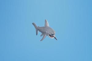 Toothy shark toy on a blue background with free space. photo