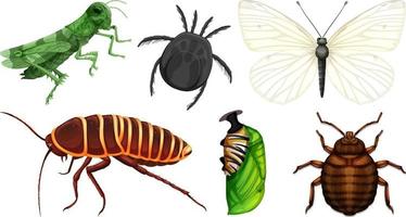 Set of different kinds of insects vector