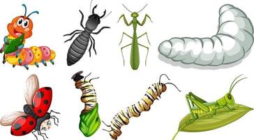 colección de diferentes vectores de insectos