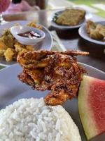 Fried chicken with rice and water melon photo