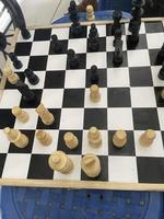 Playing Chess Classic photo