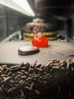 Black Forest with Chery photo